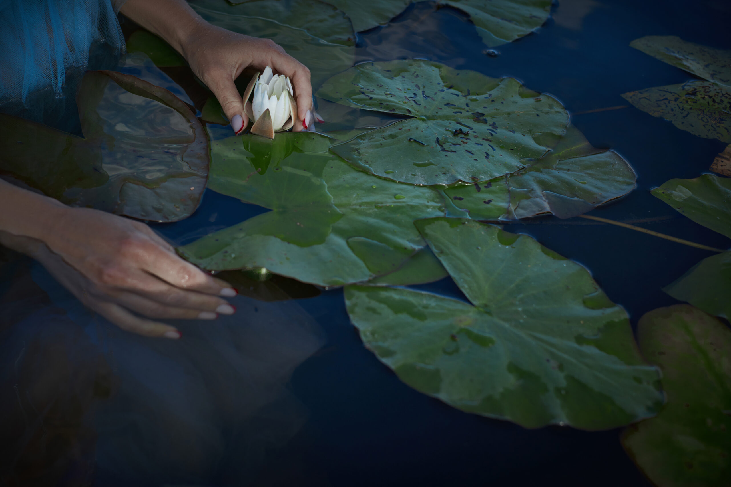 Topics Hub — Mira Solani